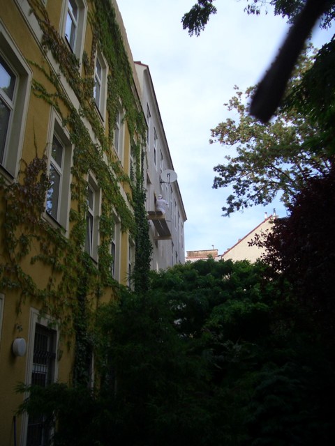 CIMG5708.JPG