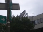 CIMG5783.JPG