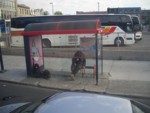 CIMG5983.JPG