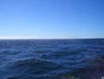 CIMG6395.JPG