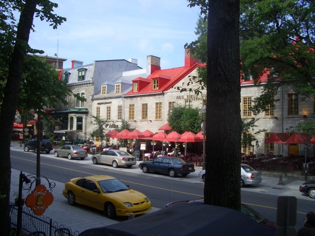 CIMG6528.JPG