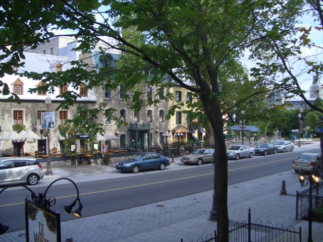 CIMG6530.JPG