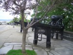 CIMG6560.JPG