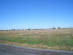 CIMG6614.JPG