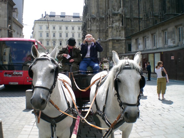 CIMG0445.JPG