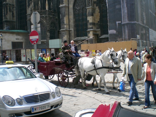 CIMG0448.JPG