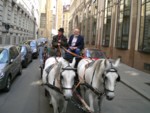 CIMG0457.JPG