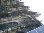 CIMG0507.JPG