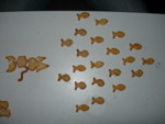 DSCN0501.JPG