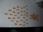 DSCN0509.JPG
