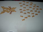 DSCN0514.JPG