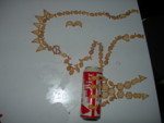 DSCN0518.JPG